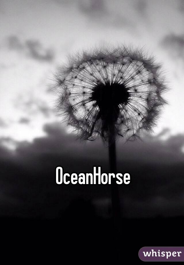 OceanHorse