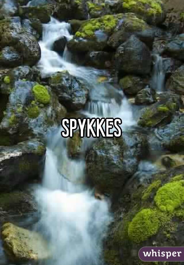 SPYKKES