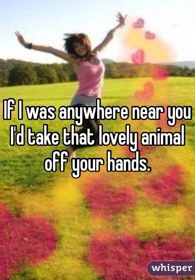 If I was anywhere near you I'd take that lovely animal off your hands.