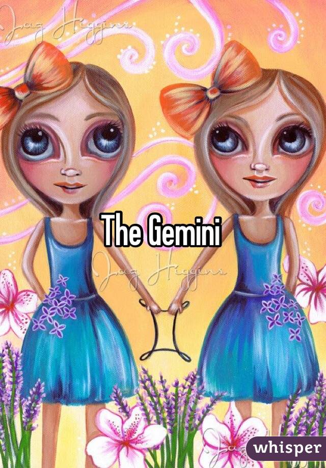 The Gemini