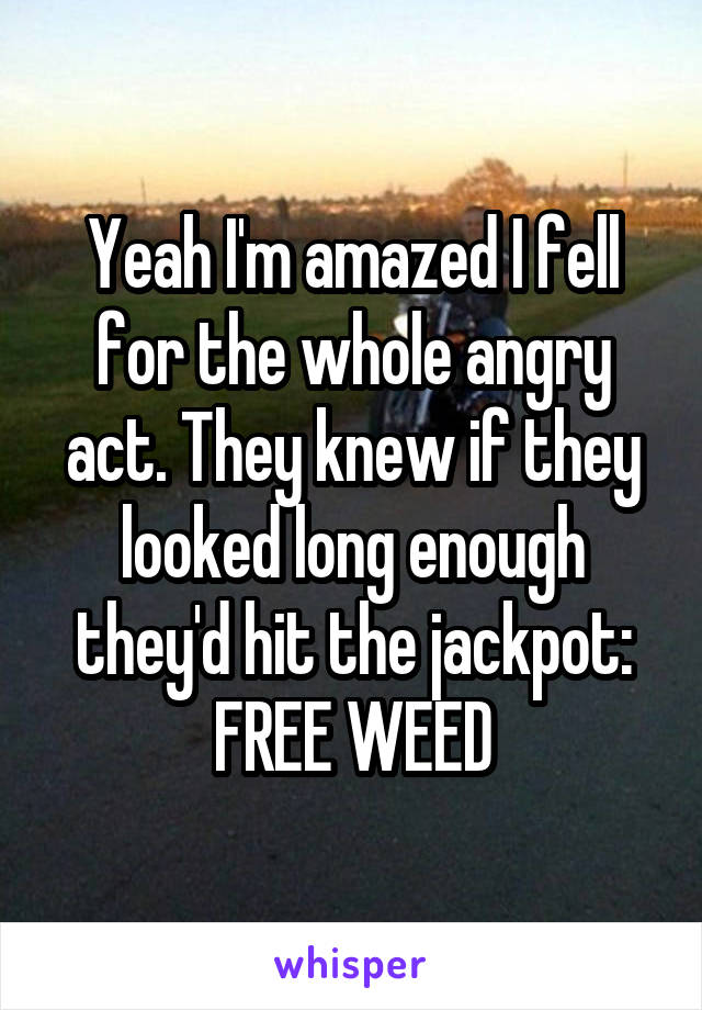 Yeah I'm amazed I fell for the whole angry act. They knew if they looked long enough they'd hit the jackpot: FREE WEED