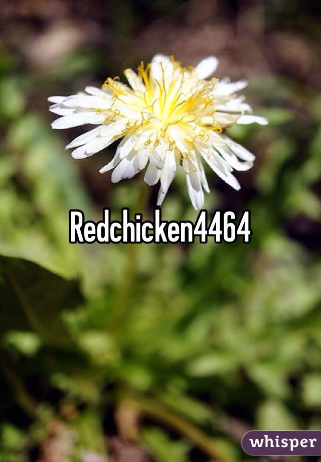 Redchicken4464