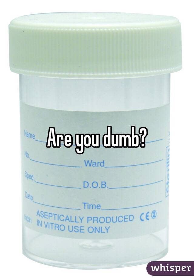 Are you dumb? 