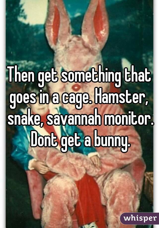 Then get something that goes in a cage. Hamster,  snake, savannah monitor. Dont get a bunny.