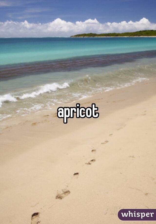 apricot