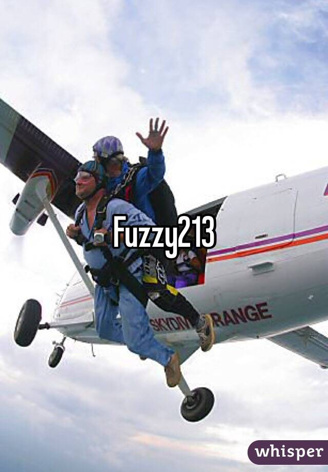 Fuzzy213
