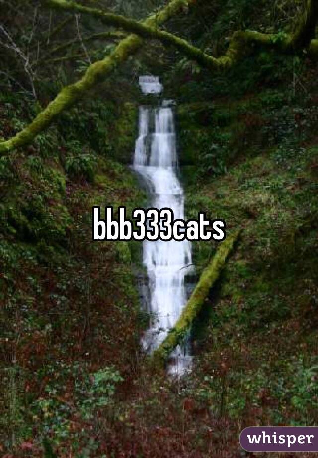 bbb333cats
