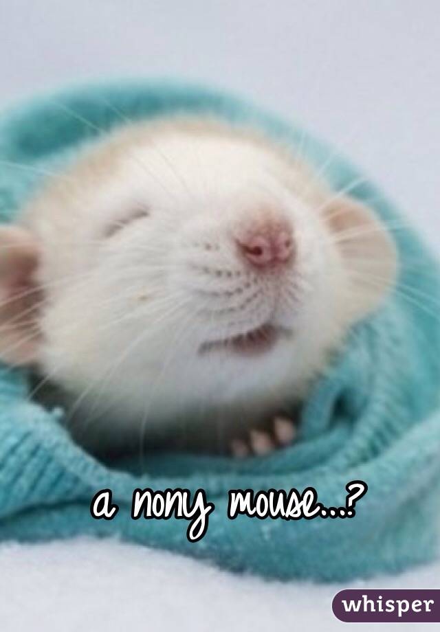 a nony mouse...?