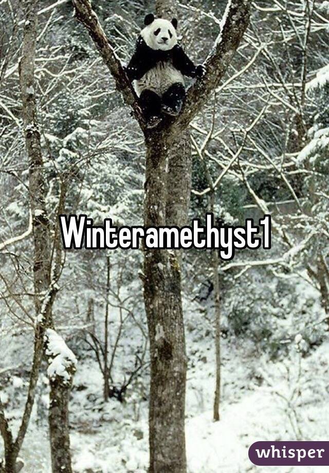 Winteramethyst1