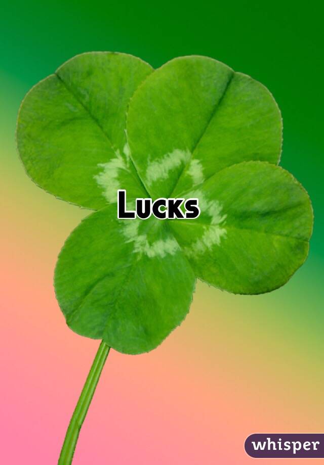 Lucks 