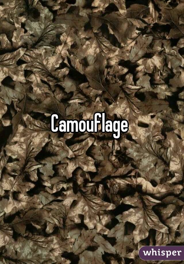 Camouflage 
