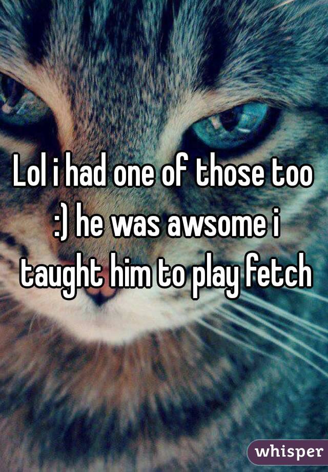 Lol i had one of those too :) he was awsome i taught him to play fetch