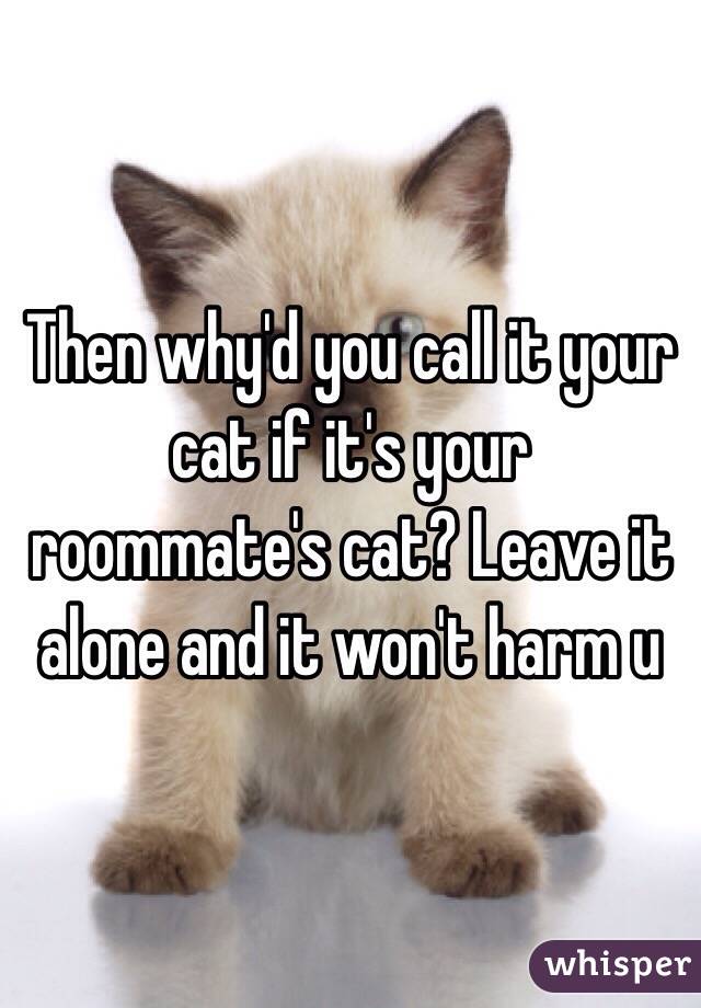 Then why'd you call it your cat if it's your roommate's cat? Leave it alone and it won't harm u