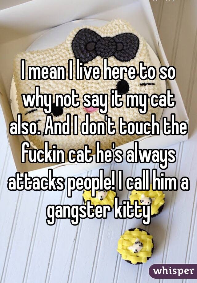 I mean I live here to so why not say it my cat also. And I don't touch the fuckin cat he's always attacks people! I call him a gangster kitty