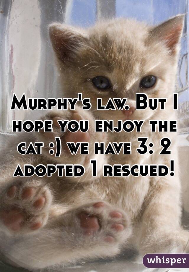 Murphy's law. But I hope you enjoy the cat :) we have 3: 2 adopted 1 rescued! 