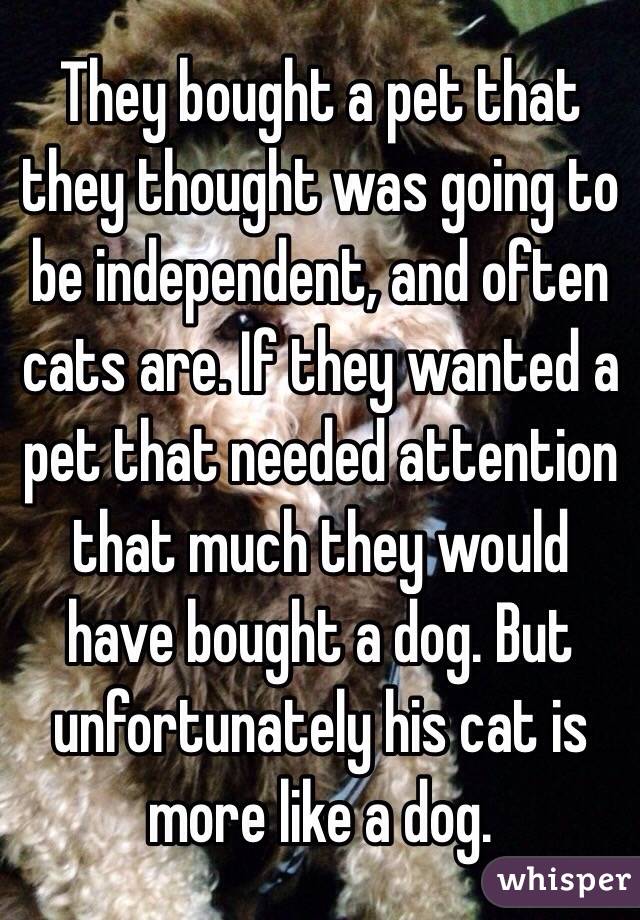 They bought a pet that they thought was going to be independent, and often cats are. If they wanted a pet that needed attention that much they would have bought a dog. But unfortunately his cat is more like a dog.