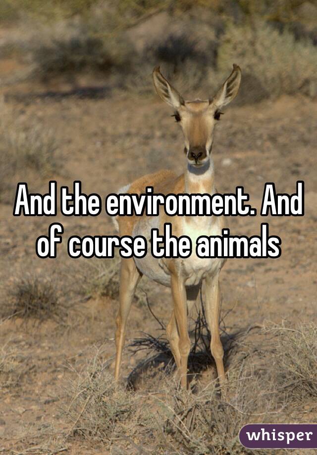 And the environment. And of course the animals
