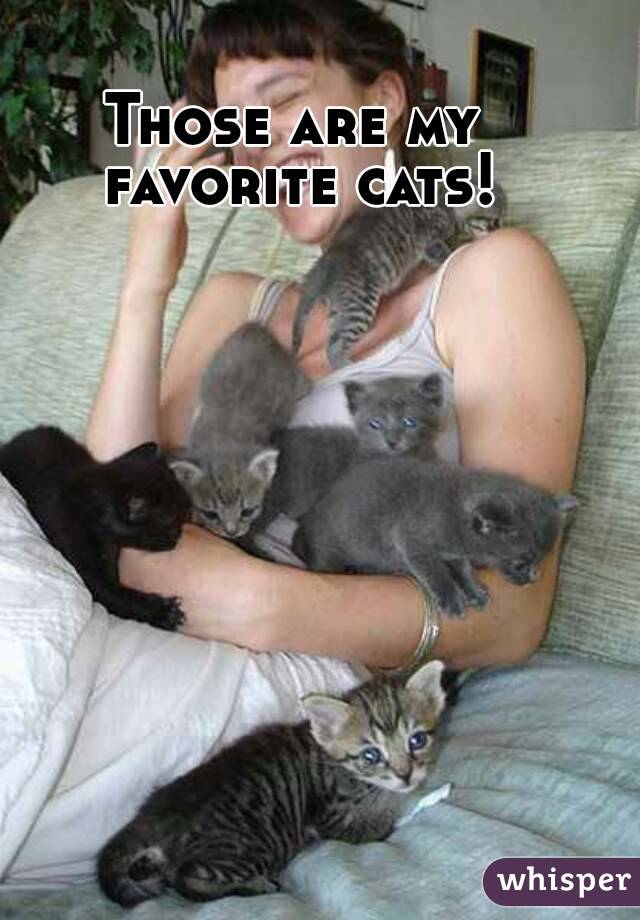 Those are my favorite cats!