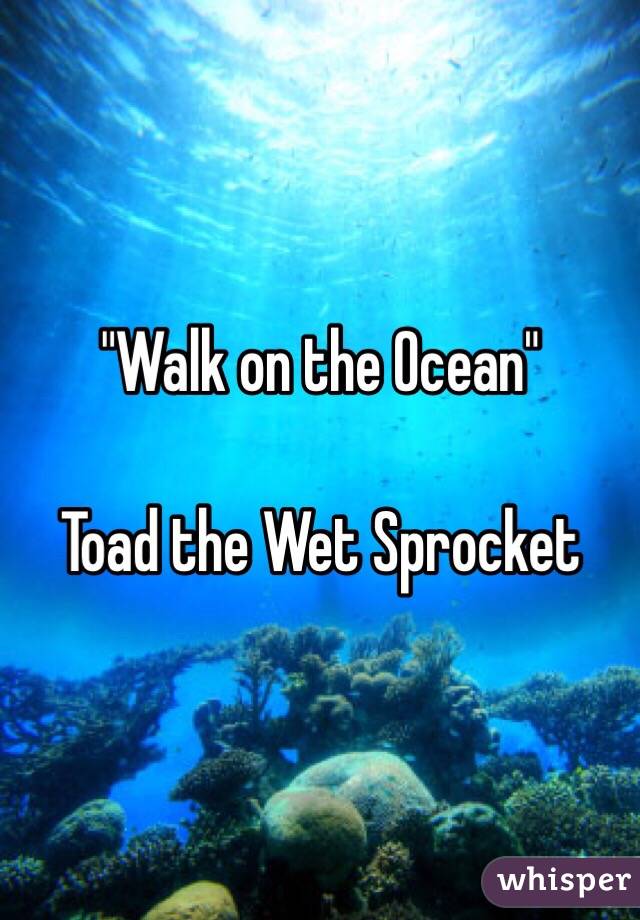 "Walk on the Ocean"

Toad the Wet Sprocket 