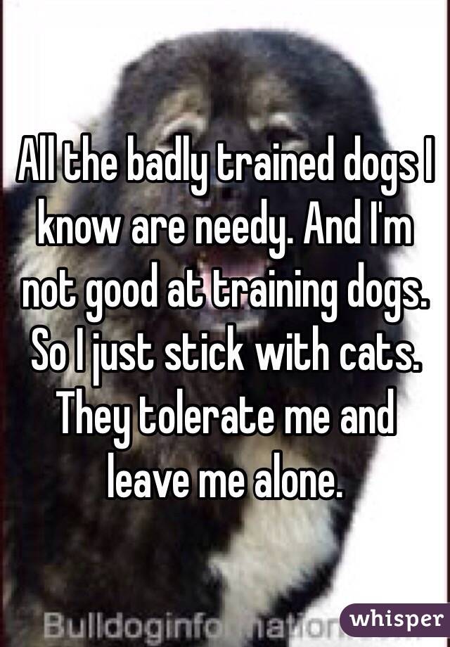 All the badly trained dogs I know are needy. And I'm not good at training dogs. So I just stick with cats. They tolerate me and leave me alone. 