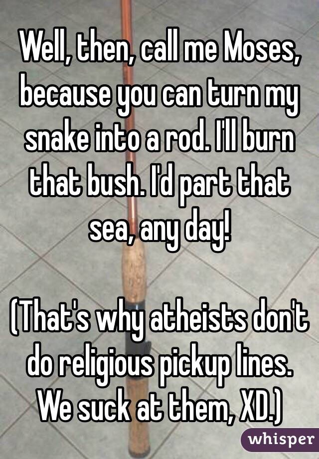 Well, then, call me Moses, because you can turn my snake into a rod. I'll burn that bush. I'd part that sea, any day!

(That's why atheists don't do religious pickup lines. We suck at them, XD.)