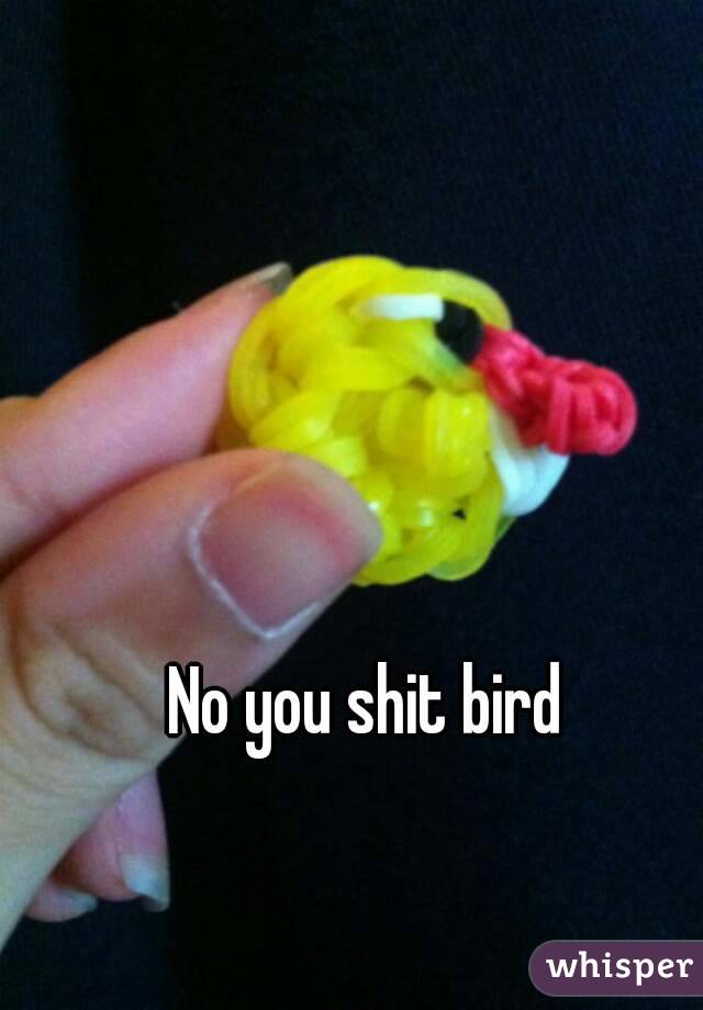 No you shit bird 