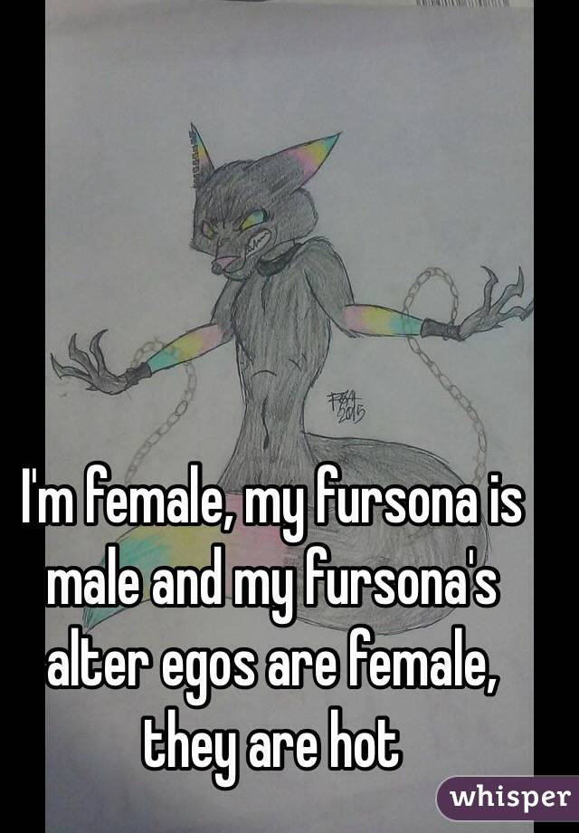 I'm female, my fursona is male and my fursona's alter egos are female, they are hot