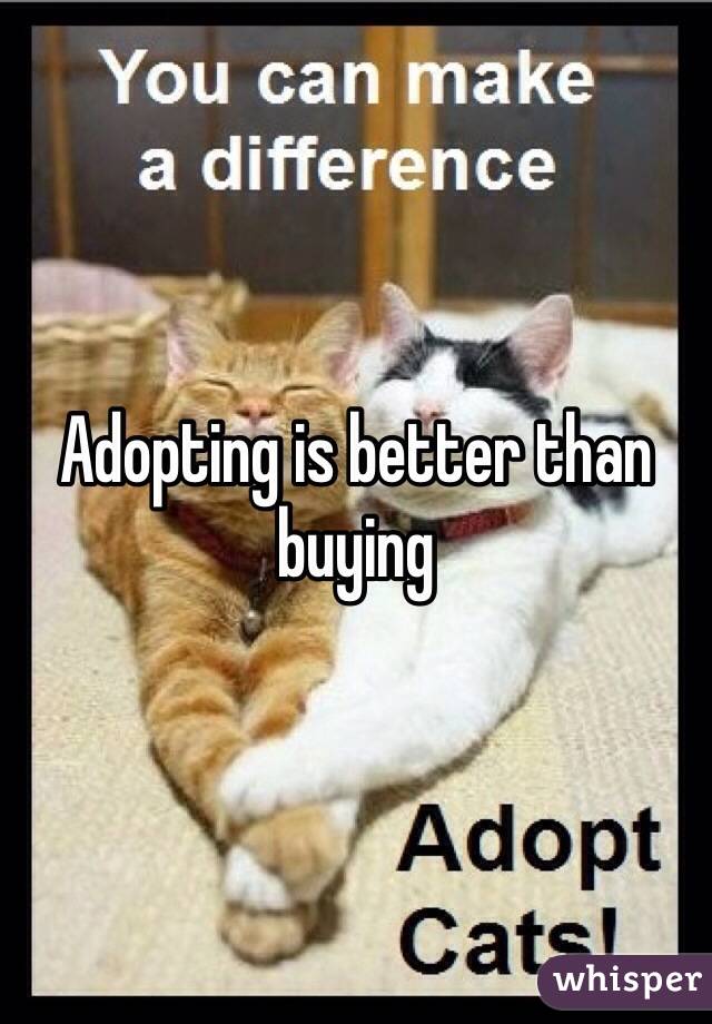 Adopting is better than buying