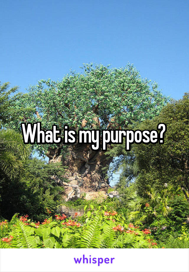 What is my purpose? 