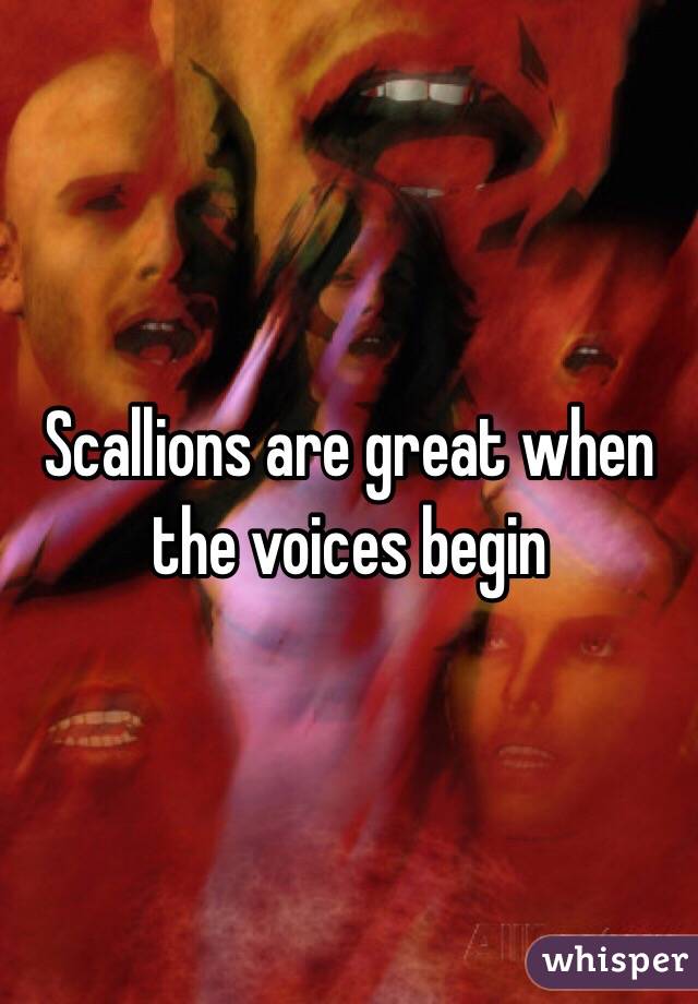 Scallions are great when the voices begin 