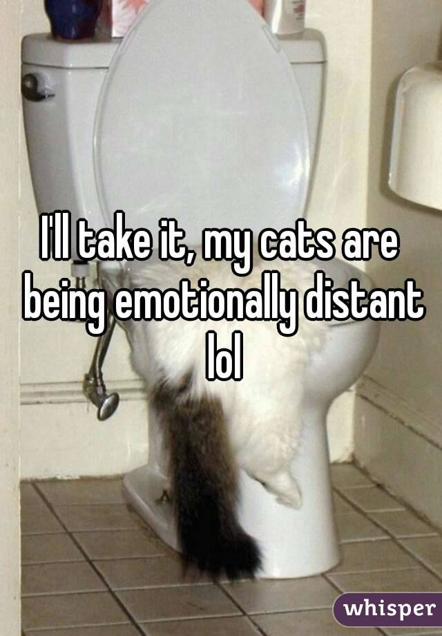 I'll take it, my cats are being emotionally distant lol