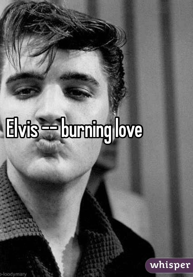 Elvis -- burning love