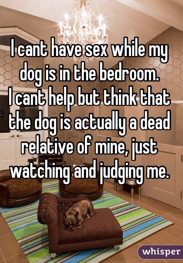 I cant have sex while my dog is in the bedroom.
I cant help but think that the dog is actually a dead relative of mine, just watching and judging me.
