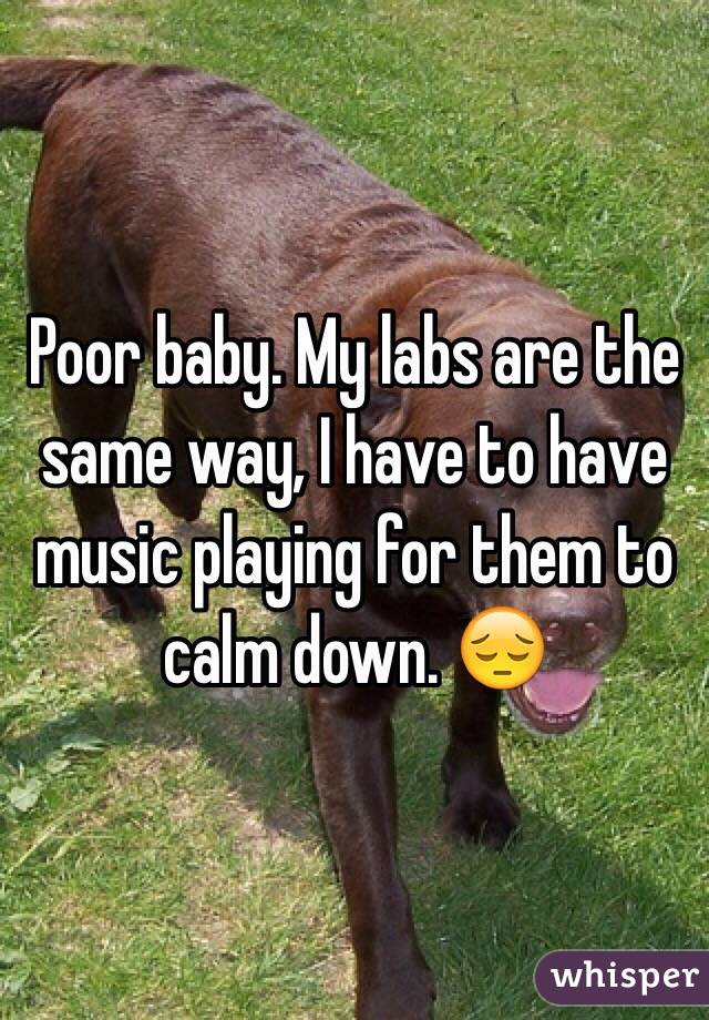 Poor baby. My labs are the same way, I have to have music playing for them to calm down. 😔