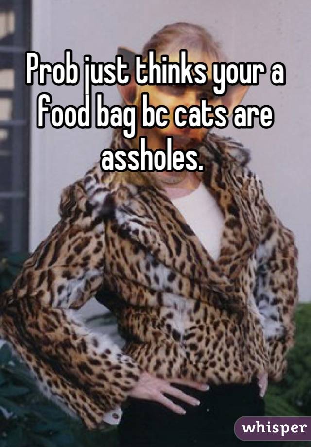 Prob just thinks your a food bag bc cats are assholes. 