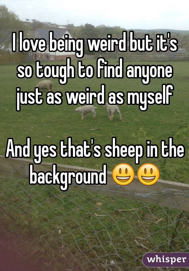 I love being weird but it's so tough to find anyone just as weird as myself

And yes that's sheep in the background 😃😃