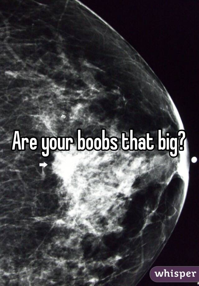 Are your boobs that big?