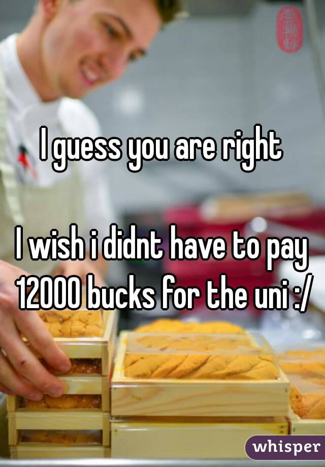 I guess you are right

I wish i didnt have to pay 12000 bucks for the uni :/