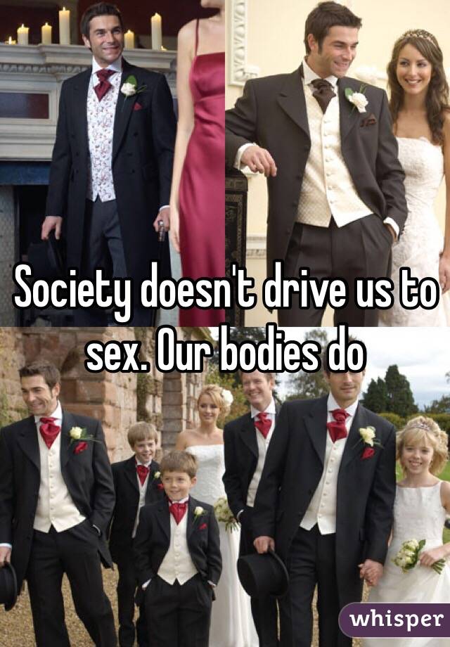 Society doesn't drive us to sex. Our bodies do