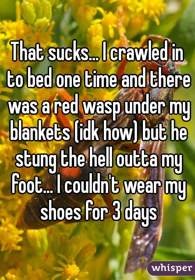That sucks... I crawled in to bed one time and there was a red wasp under my blankets (idk how) but he stung the hell outta my foot... I couldn't wear my shoes for 3 days
