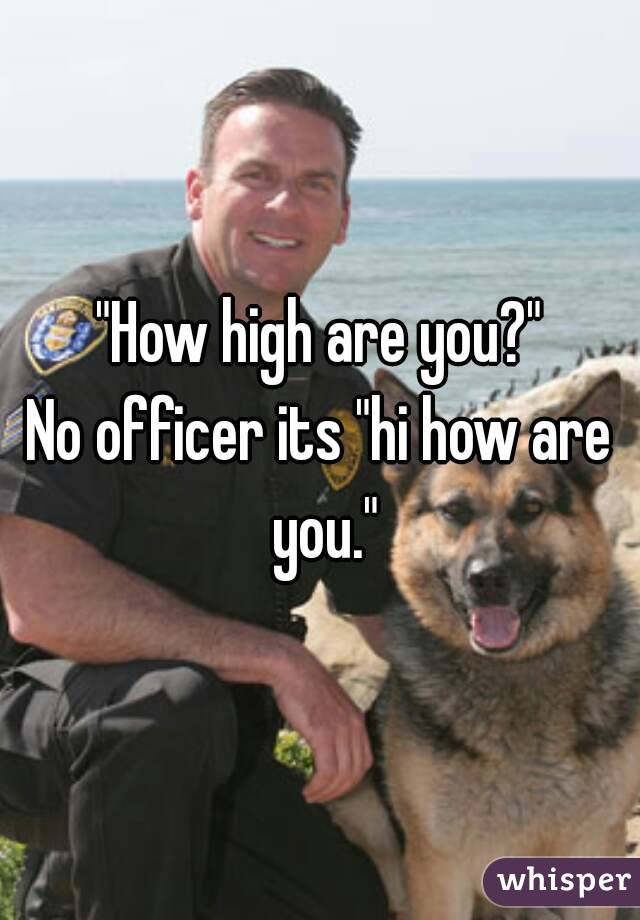 "How high are you?"
No officer its "hi how are you."