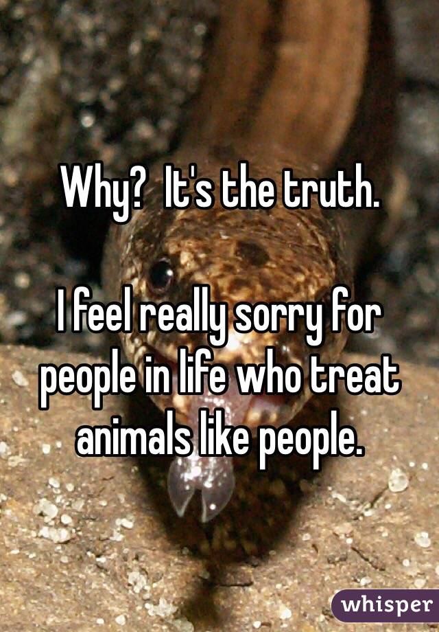 Why?  It's the truth.

I feel really sorry for people in life who treat animals like people.  
