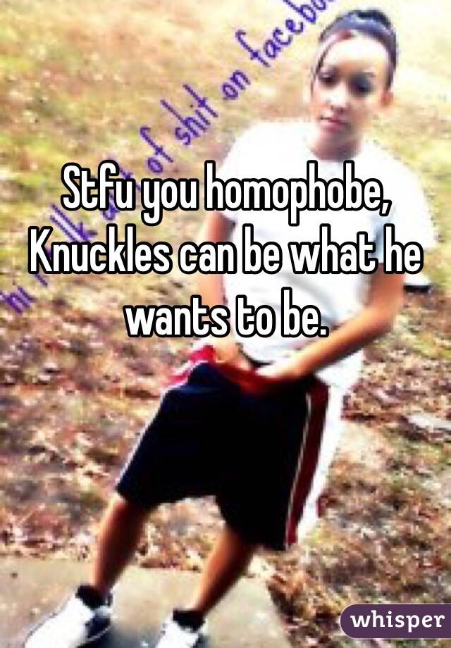 Stfu you homophobe, Knuckles can be what he wants to be.