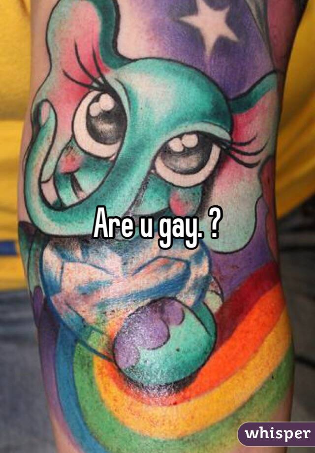 Are u gay. ?