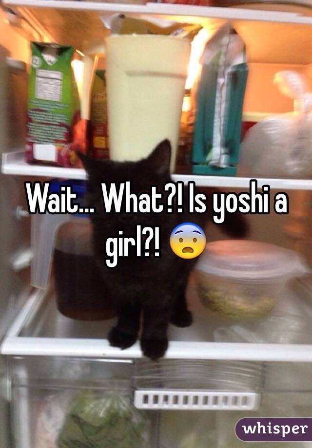 Wait... What?! Is yoshi a girl?! 😨