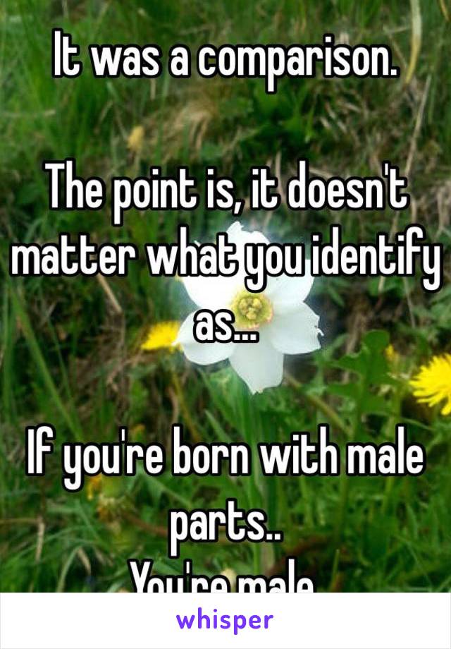 It was a comparison. 

The point is, it doesn't matter what you identify as...

If you're born with male parts..
You're male.  
