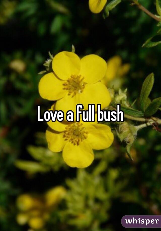 Love a full bush