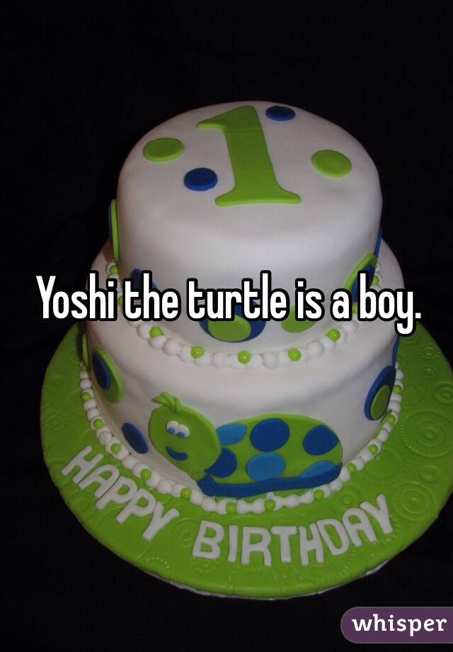 Yoshi the turtle is a boy. 