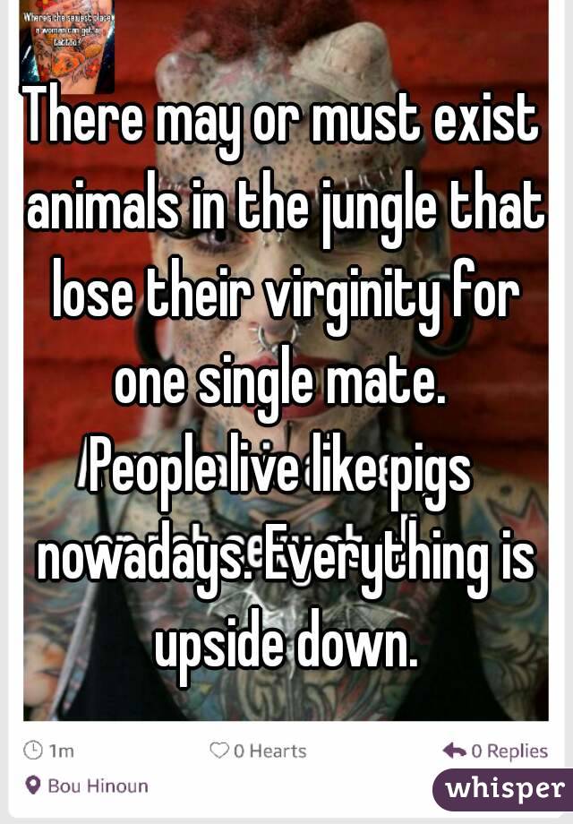 There may or must exist animals in the jungle that lose their virginity for one single mate. 
People live like pigs nowadays. Everything is upside down.