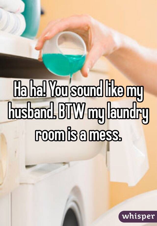Ha ha! You sound like my husband. BTW my laundry room is a mess.